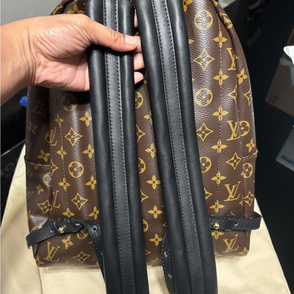 Louis Vuitton Palm Springs PM - Picture 2 of 5
